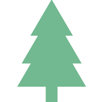pine icon